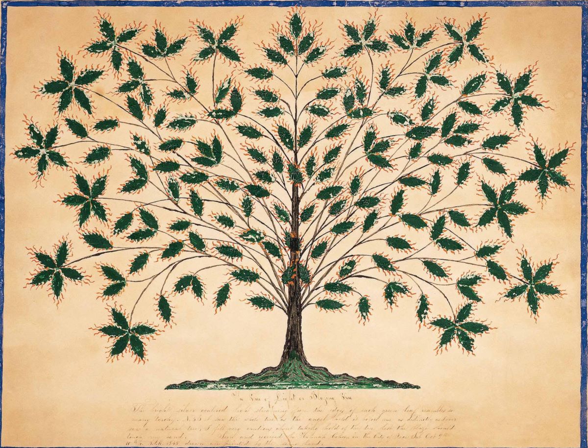 tree of life family symbol with simple tree drawing and names written beneath