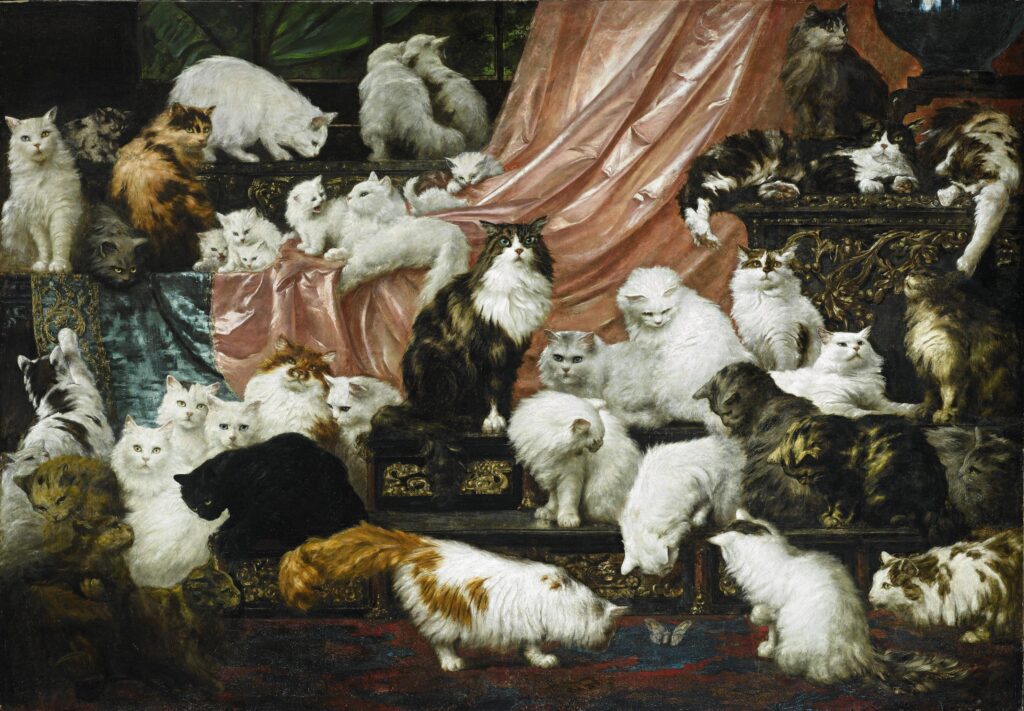 portriat of 42 cats owned by wealthy socialite Kate Birdsall Johnson