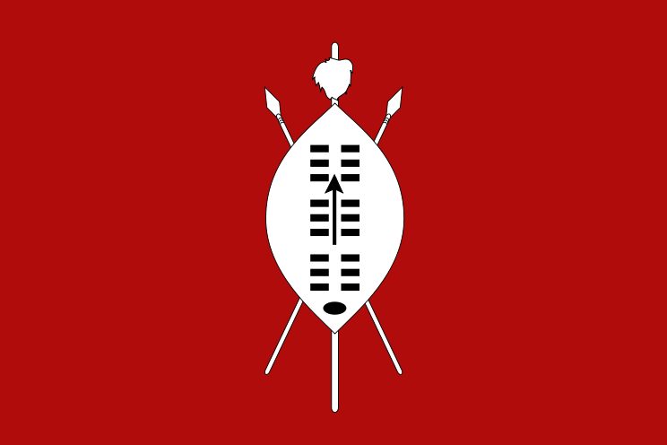 Graphic depiction of Zulu shield.