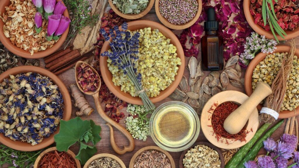 A table filled with all kinds of herbs and herbalist tools. 