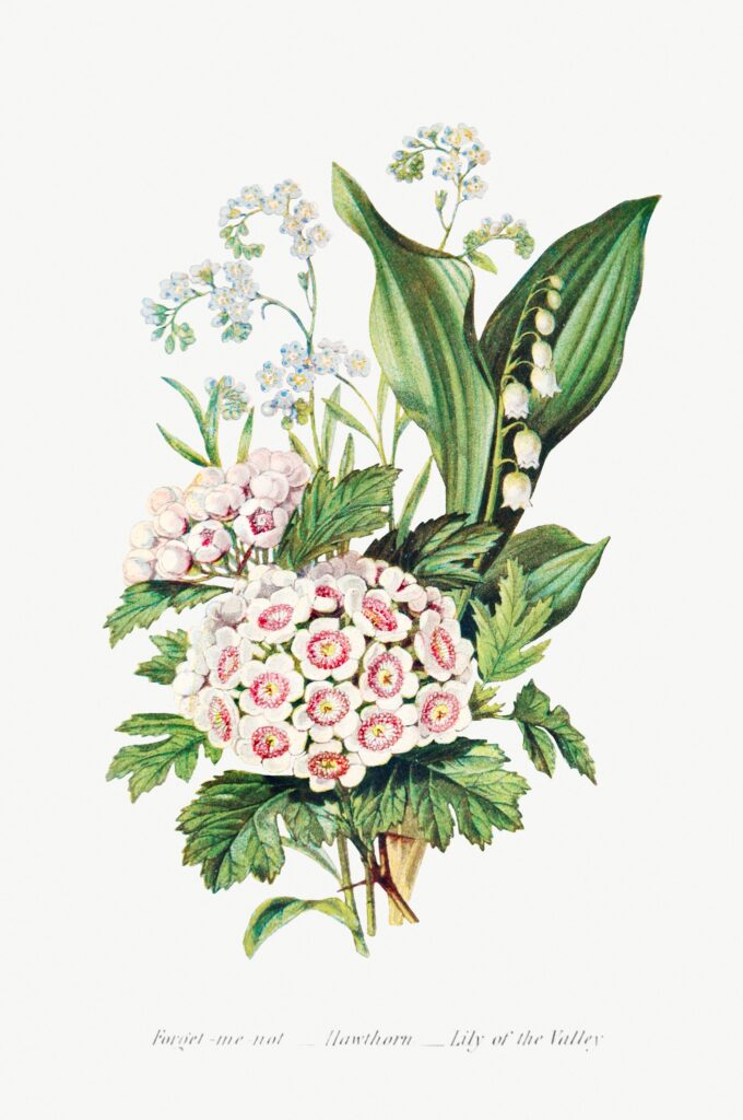 Painting of Forget Me Not, Hawthorn and Lily of the Valley flowers.