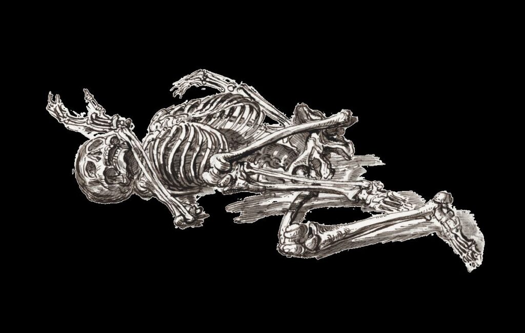 skeleton laying on the ground with hands and legs in defensive posture