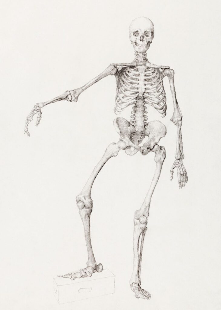 skeleton drawing with arm and leg akimbo