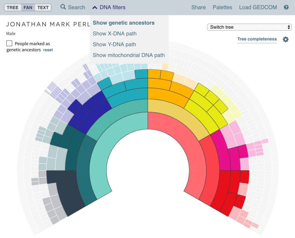 colorful dna tree display